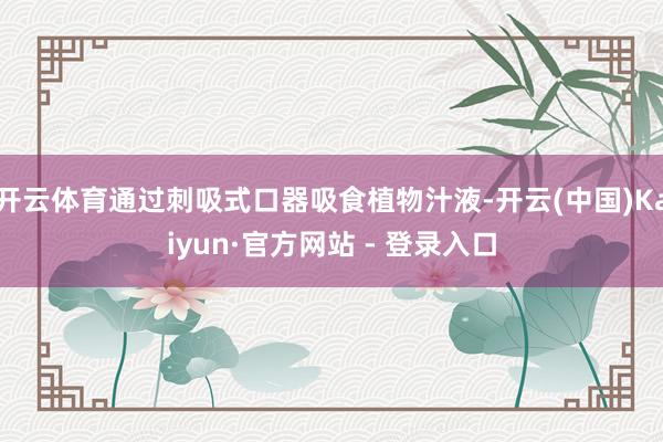 开云体育通过刺吸式口器吸食植物汁液-开云(中国)Kaiyun·官方网站 - 登录入口