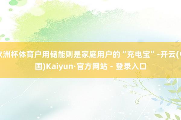欧洲杯体育户用储能则是家庭用户的“充电宝”-开云(中国)Kaiyun·官方网站 - 登录入口