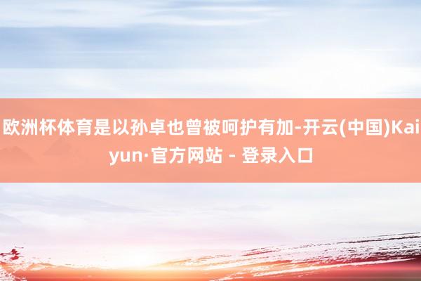 欧洲杯体育是以孙卓也曾被呵护有加-开云(中国)Kaiyun·官方网站 - 登录入口