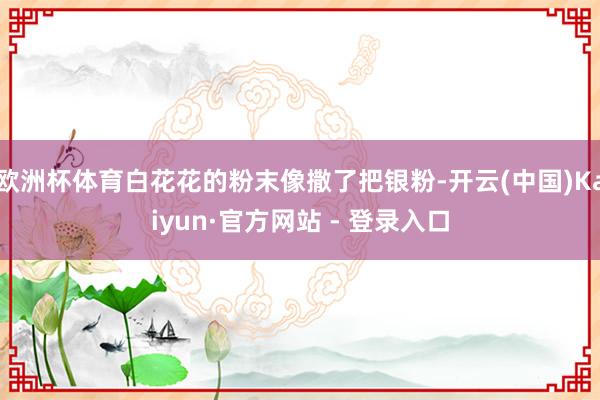 欧洲杯体育白花花的粉末像撒了把银粉-开云(中国)Kaiyun·官方网站 - 登录入口