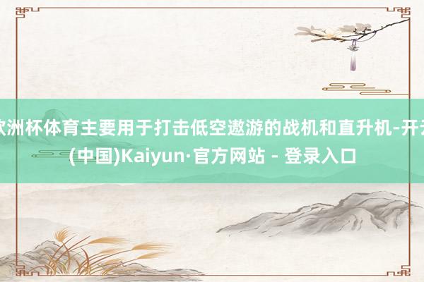 欧洲杯体育主要用于打击低空遨游的战机和直升机-开云(中国)Kaiyun·官方网站 - 登录入口